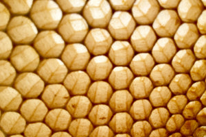 What 34.4º products contains beeswax and honey? What are their benefits?